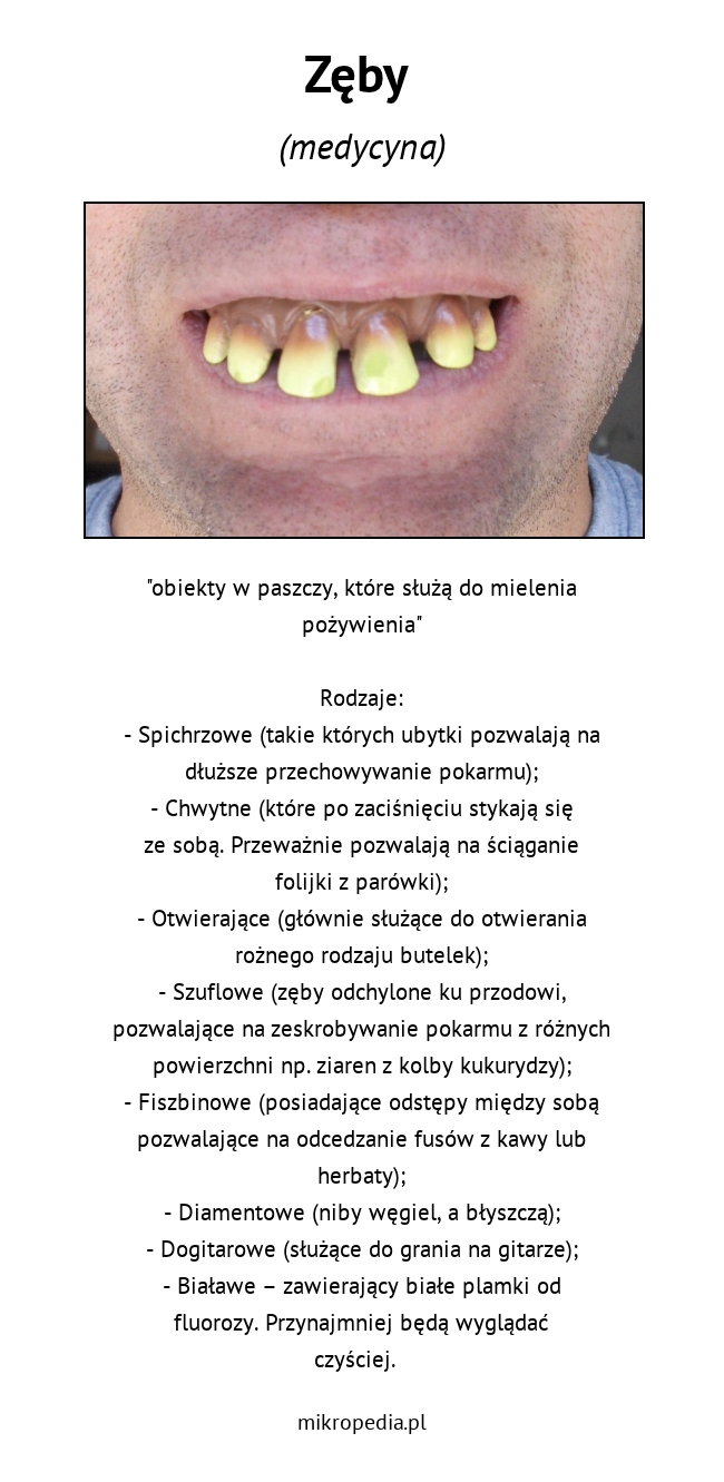 Zęby